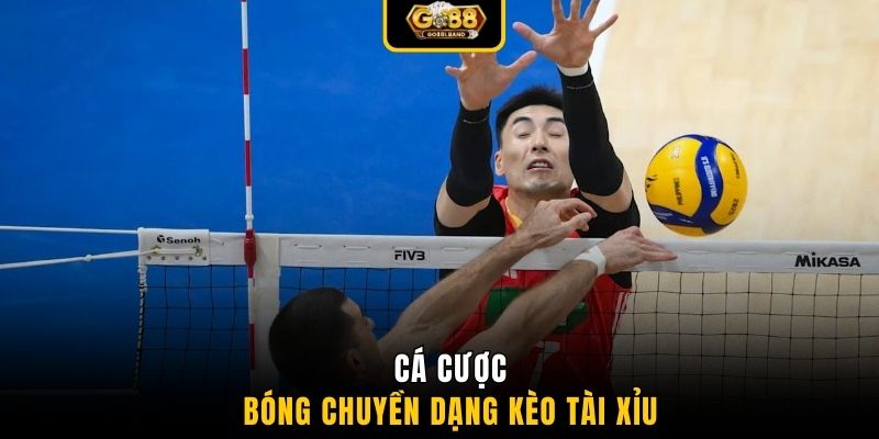 Cá cược bóng chuyền dạng kèo tài xỉu