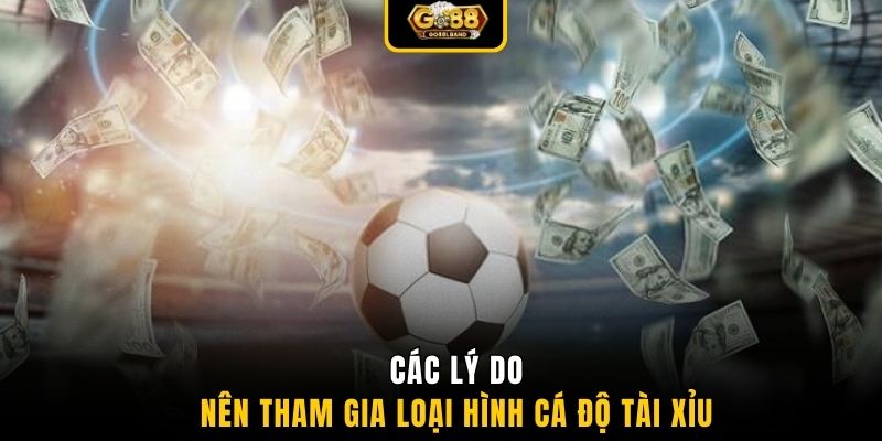 Các lý do nên tham gia loại hình cá độ tài xỉu
