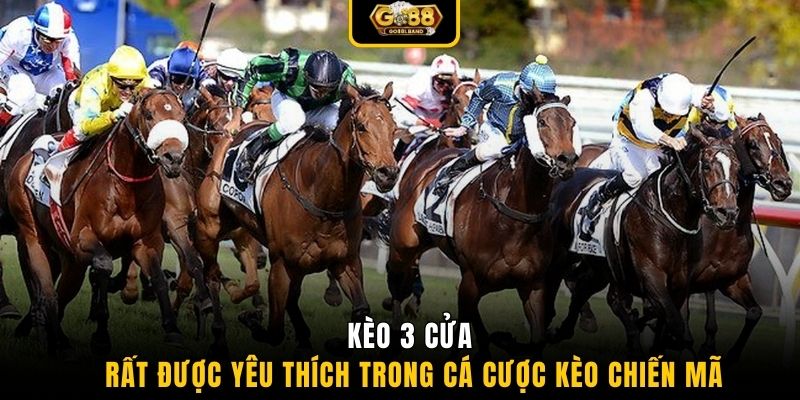 Kèo 3 cửa rất được yêu thích trong cá cược kèo chiến mã