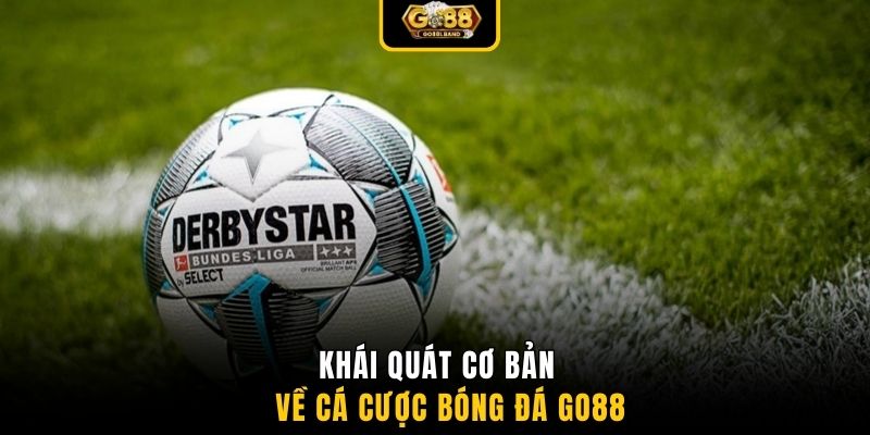 Khái quát cơ bản về cá cược bóng đá GO88