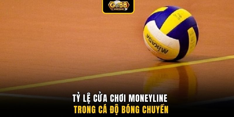 Tỷ lệ cửa chơi moneyline trong cá độ bóng chuyền